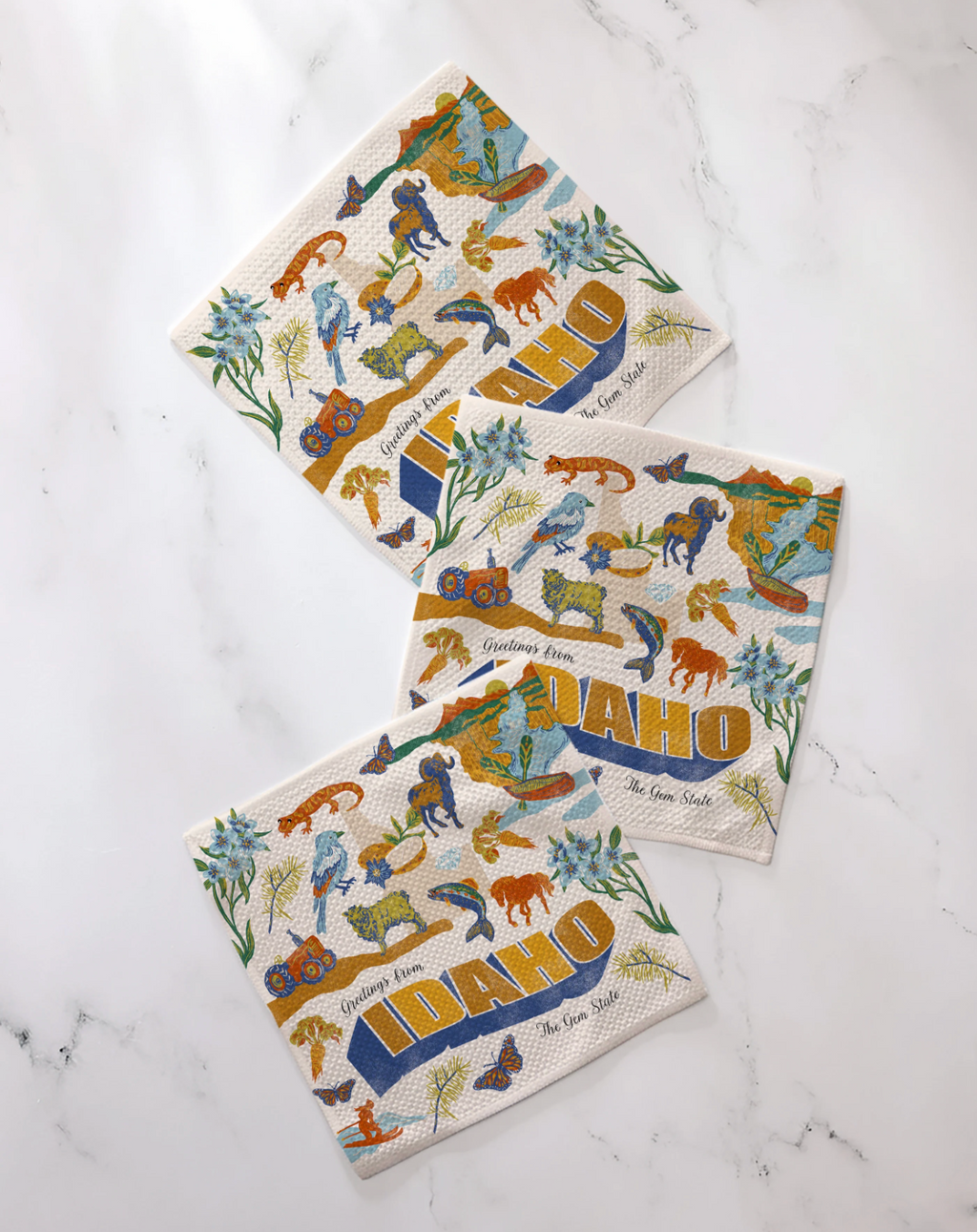 Geometry Idaho Dish Cloth