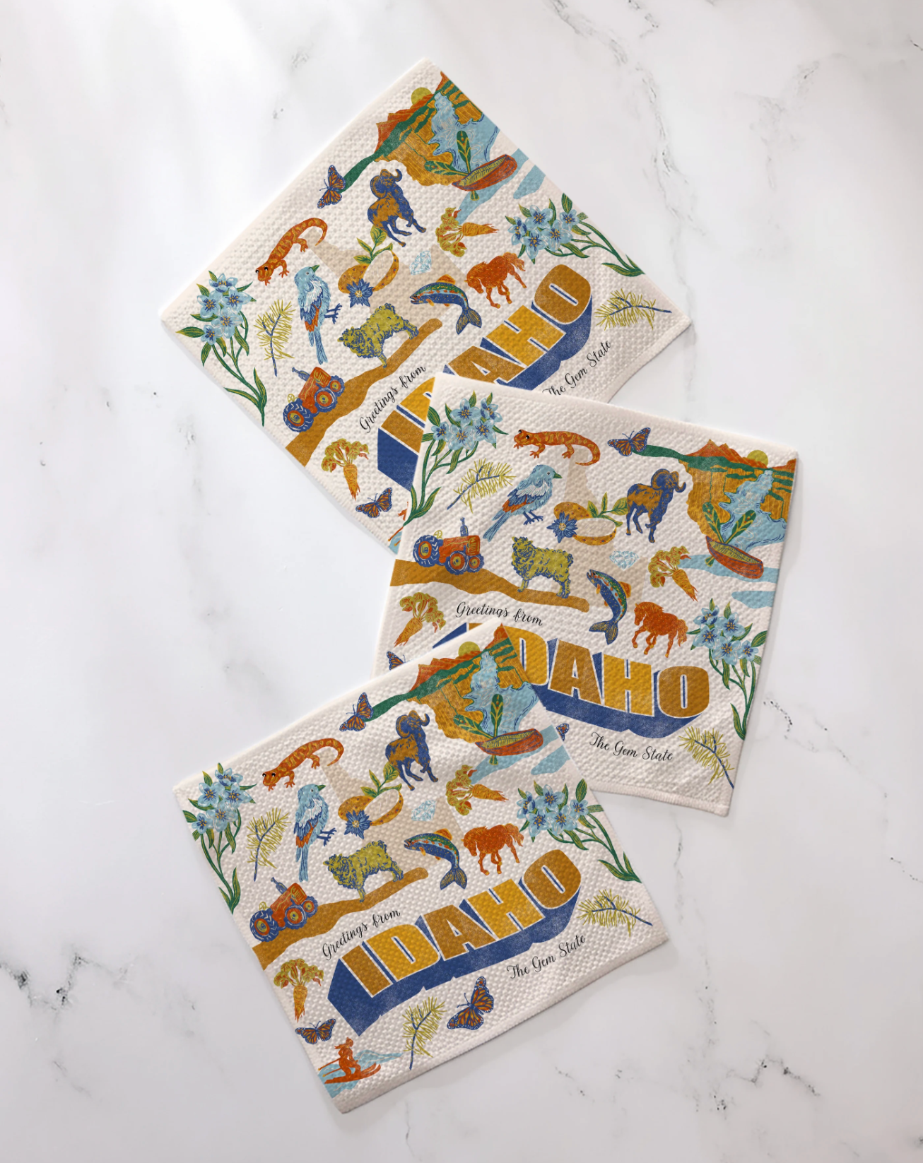 Geometry Idaho Dish Cloth