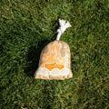 Campfire Dog Toy